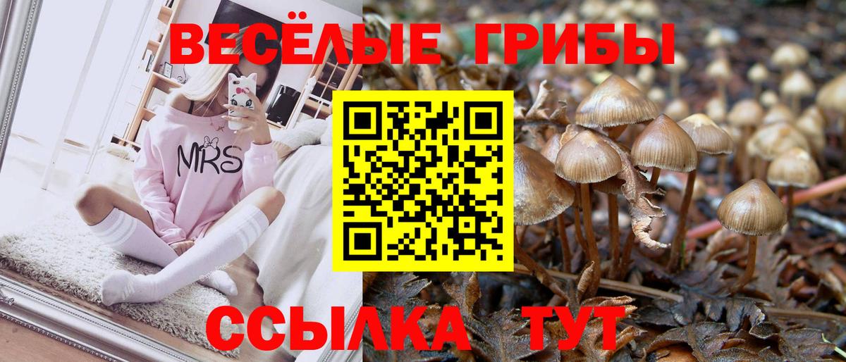 Галлюциногенные грибы прущие грибы Нарткала