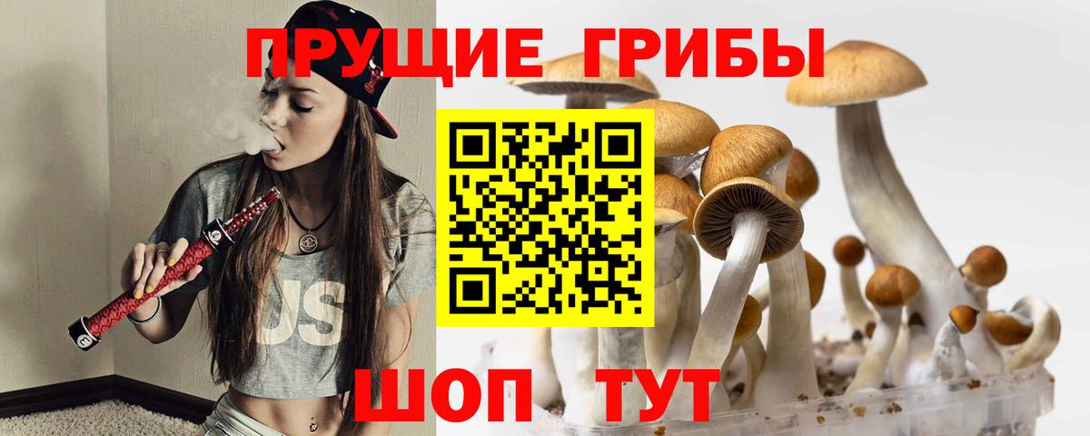 Галлюциногенные грибы Psilocybine cubensis  Вход с VPN  где можно купить наркотик  Нарткала 